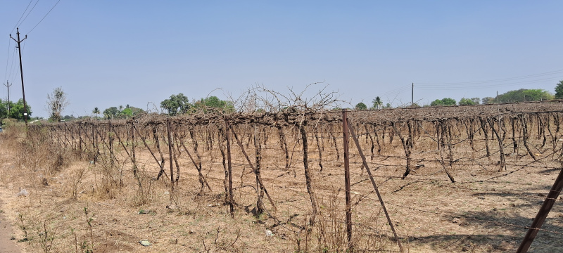  95 Guntha Residential Plot for Sale in Odha, Nashik