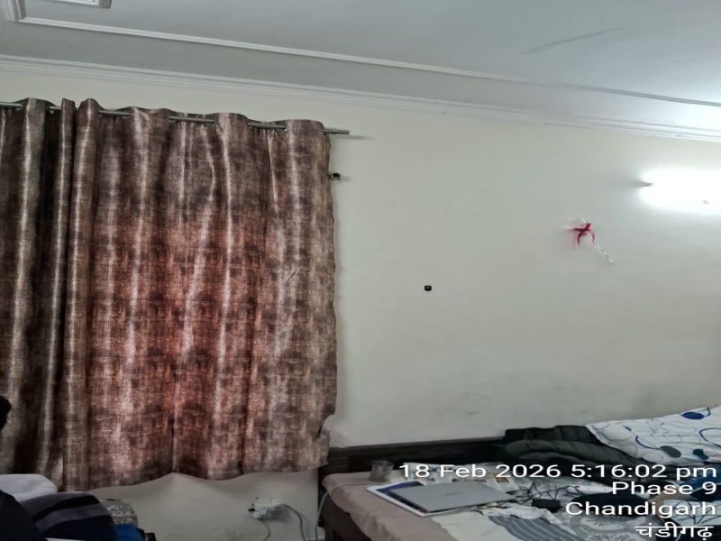 1 RK 487 Sq.ft. Apartment for Sale in Sector 49 Chandigarh