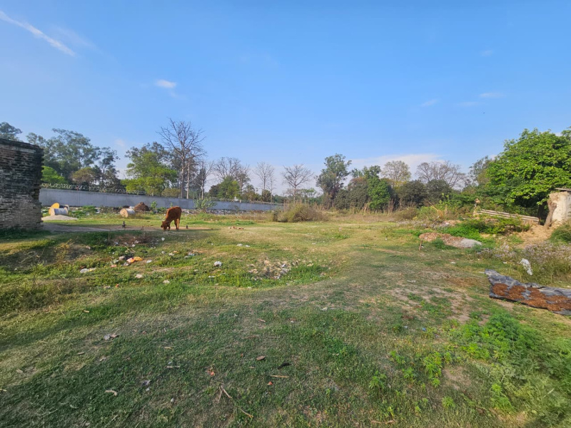  8 Bigha Agricultural/Farm Land for Sale in Dhanauri, Haridwar