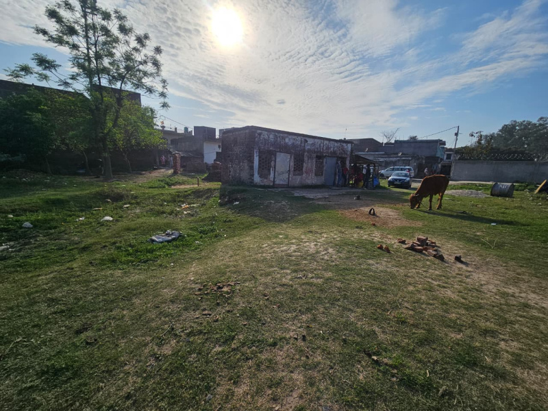  8 Bigha Agricultural/Farm Land for Sale in Dhanauri, Haridwar