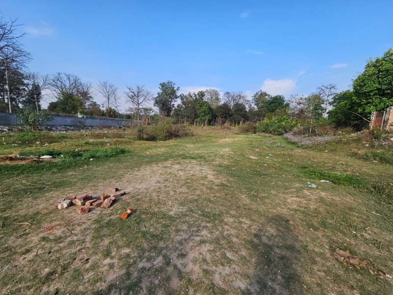  8 Bigha Agricultural/Farm Land for Sale in Dhanauri, Haridwar