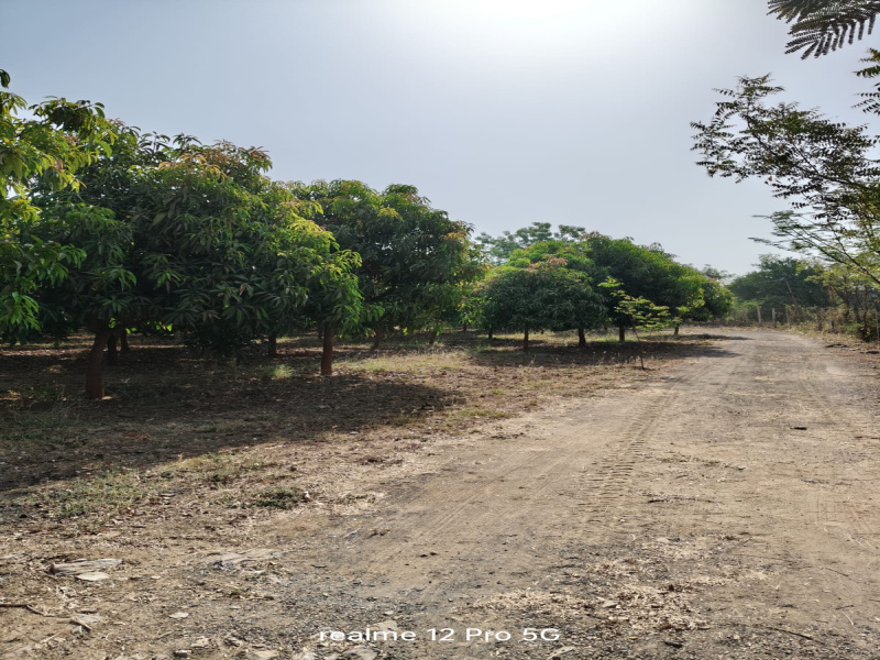 1 BHK 90000 Sq.ft. Farm House for Sale in Waghodia, Vadodara