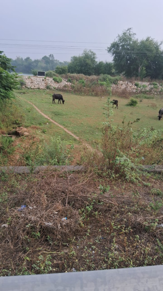  40000 Sq.ft. Industrial Land for Sale in Padra, Vadodara