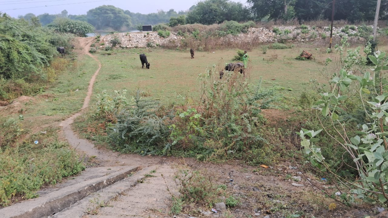  40000 Sq.ft. Industrial Land for Sale in Padra, Vadodara