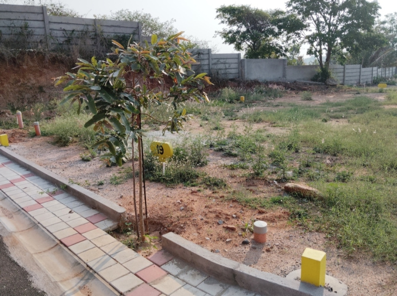  889 Sq.ft. Residential Plot for Sale in Denkanikottai, Krishnagiri