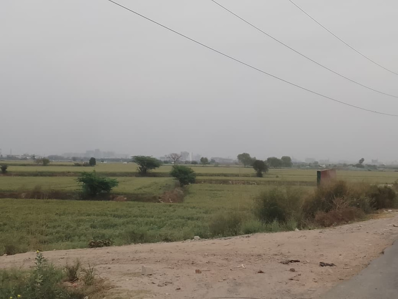  1000 Sq. Yards Residential Plot for Sale in Sector 145 Noida