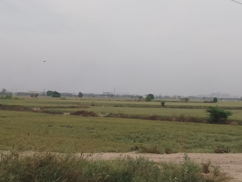  1000 Sq. Yards Residential Plot for Sale in Sector 145 Noida