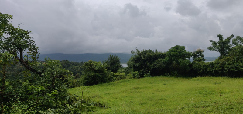  4 Acre Agricultural/Farm Land for Sale in Mhasla, Raigad