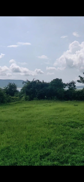  4 Acre Agricultural/Farm Land for Sale in Mhasla, Raigad