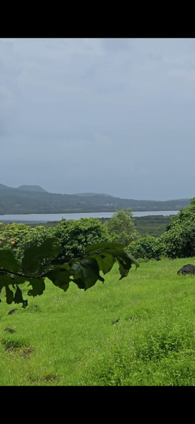  4 Acre Agricultural/Farm Land for Sale in Mhasla, Raigad