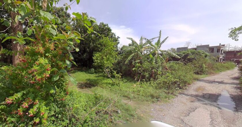  2 Bigha Agricultural/Farm Land for Sale in Ramnagar, Nainital