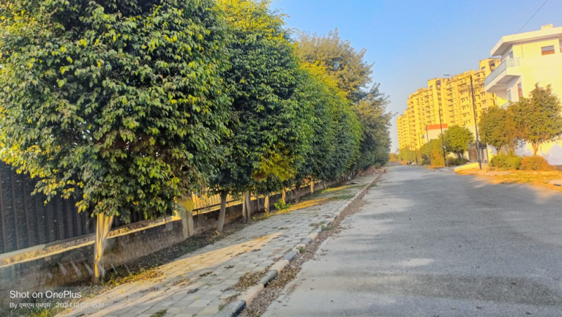  110 Sq. Yards Residential Plot for Sale in Sector 19 Dharuhera