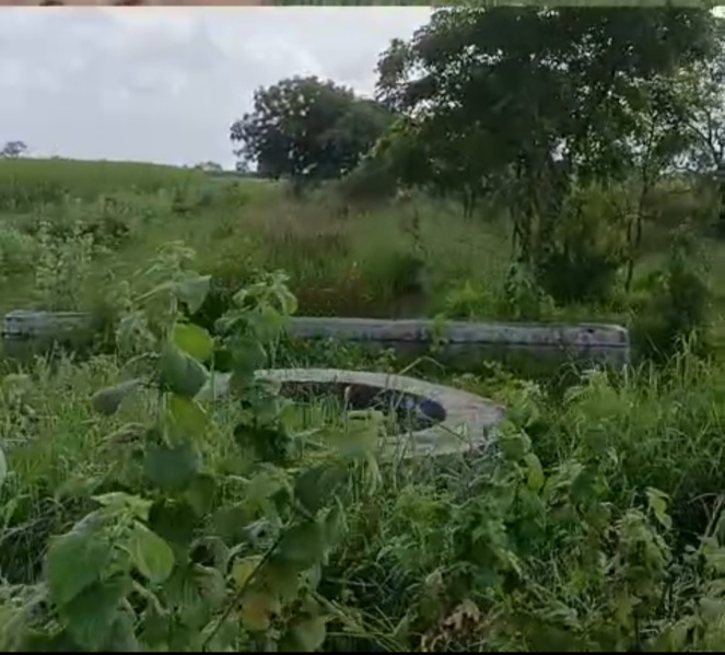  13 Sq.ft. Agricultural/Farm Land for Sale in Boidara, Ankleshwar