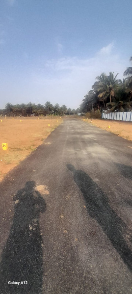  436 Sq.ft. Residential Plot for Sale in Othakalmandapam, Coimbatore