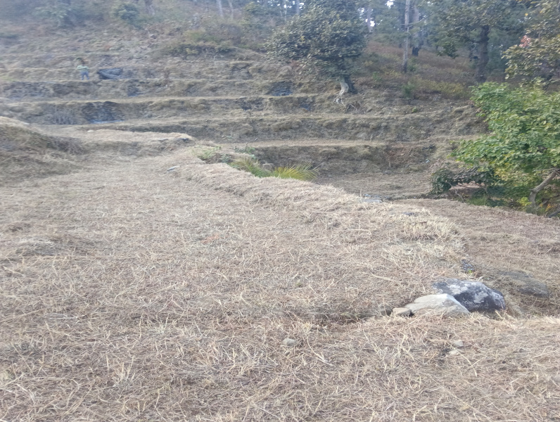  240 Sq. Yards Residential Plot for Sale in Ramgarh, Nainital