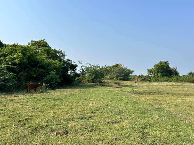  2 Acre Agricultural/Farm Land for Sale in Maduranthakam, Chengalpattu