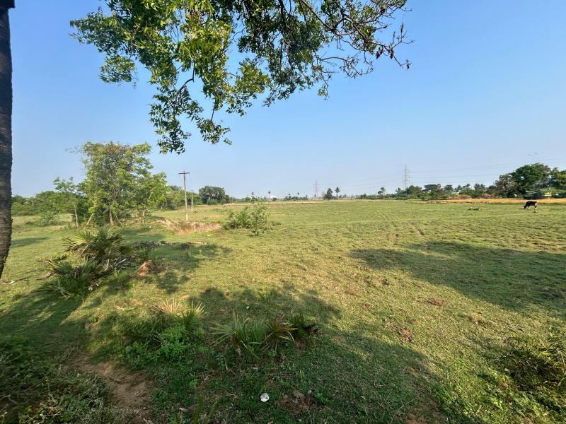  2 Acre Agricultural/Farm Land for Sale in Maduranthakam, Chengalpattu