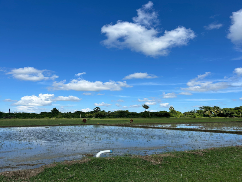  2 Acre Agricultural/Farm Land for Sale in Nenmeli, Chengalpattu