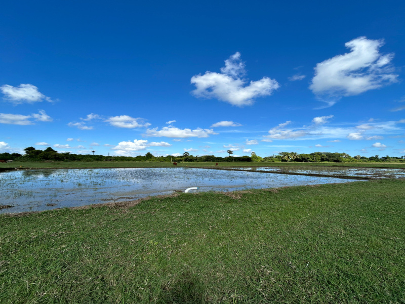  2 Acre Agricultural/Farm Land for Sale in Nenmeli, Chengalpattu