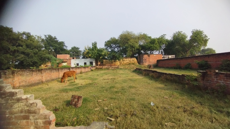  3800 Sq.ft. Residential Plot for Sale in Jafarabad, Jaunpur