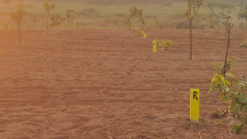  303 Sq. Yards Agricultural/Farm Land for Sale in Sri Sailam Highway, Hyderabad