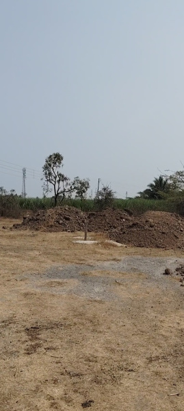  2 Acre Agricultural/Farm Land for Sale in Daund, Pune