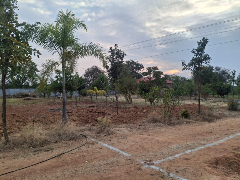  242 Sq. Yards Residential Plot for Sale in Yacharam Mandal, Hyderabad