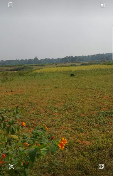  36000 Sq.ft. Commercial Land for Sale in Ginjo Thakurgaon, Ranchi