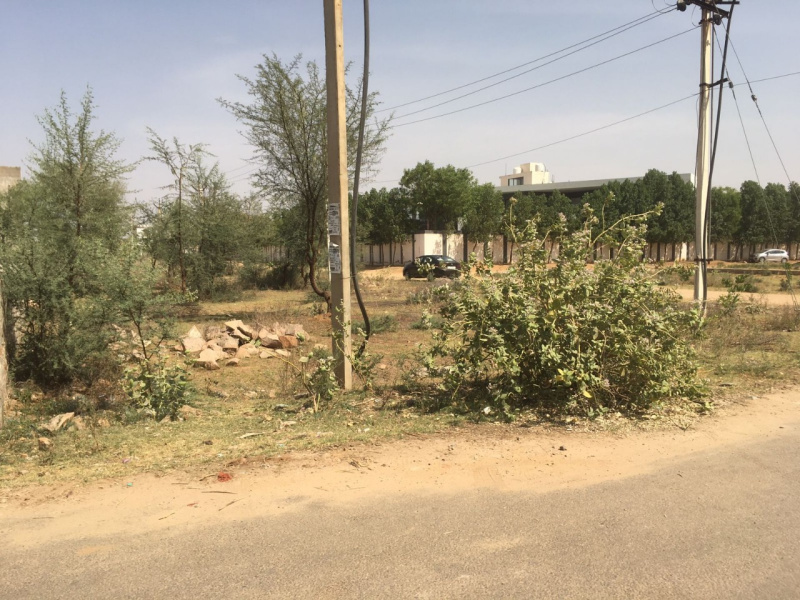 180 Sq. Yards Residential Plot for Sale in Jagatpura, Jaipur (REI1129939)