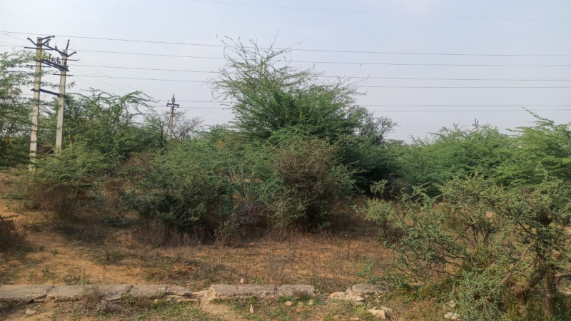  Residential Plot 3445 Sq. Yards for Sale in Jagatpura, Jaipur