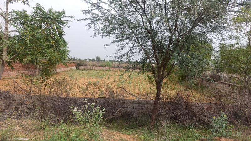  Residential Plot 400 Sq. Yards for Sale in Jagatpura, Jaipur