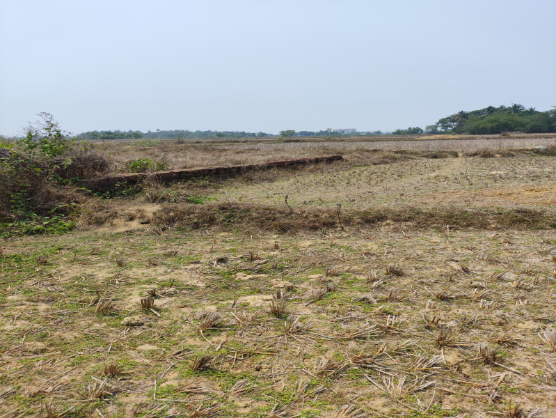  500000 Guntha Residential Plot for Sale in Khandagiri, Bhubaneswar