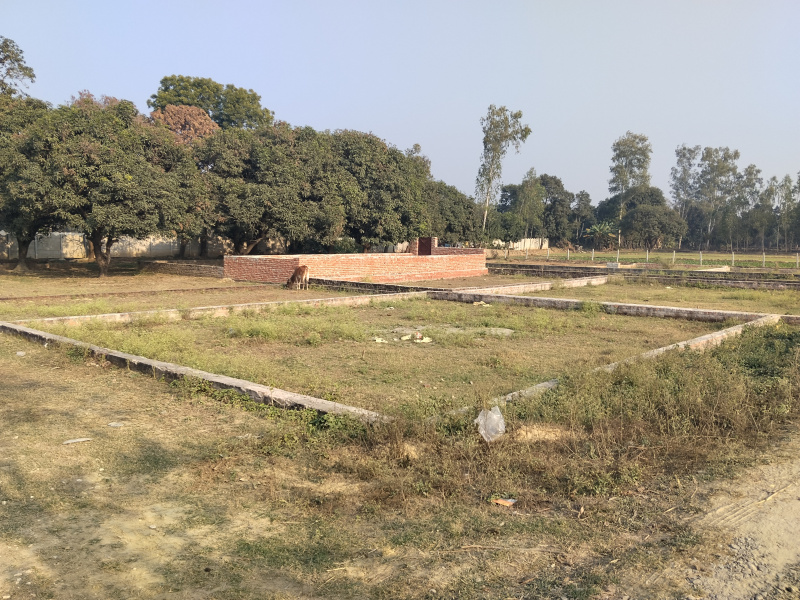  2000 Sq.ft. Commercial Land for Rent in Sultanpur Road, Lucknow