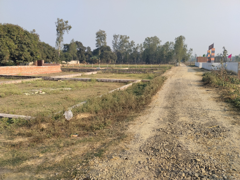  2000 Sq.ft. Commercial Land for Rent in Sultanpur Road, Lucknow