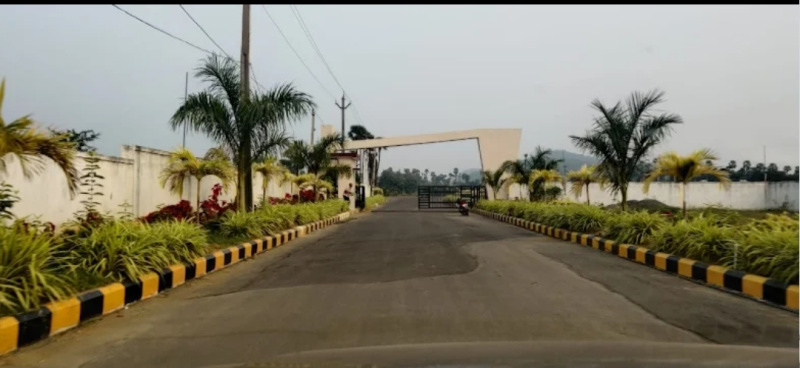  3 Acre Residential Plot for Rent in Alamanda, Vizianagaram