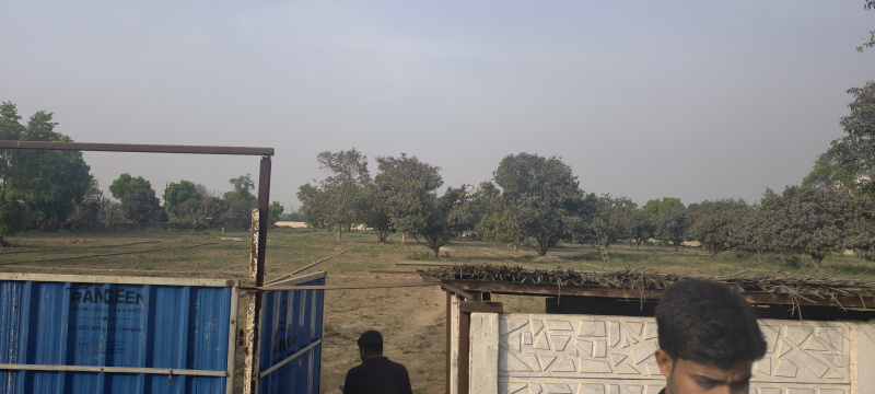  1200 Sq.ft. Residential Plot for Sale in Bihta, Patna