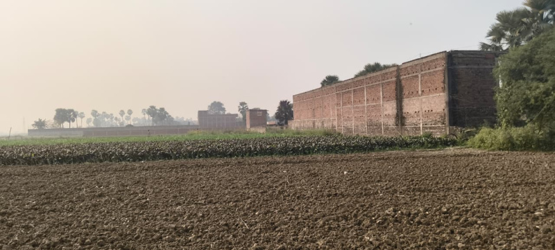 Additional image 2 of Beldari Chak, Patna
