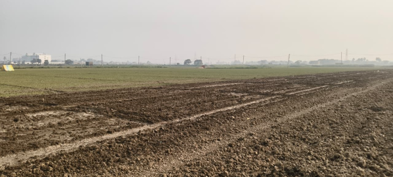 Additional image 3 of Beldari Chak, Patna