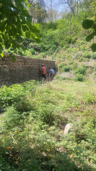  13500 Sq.ft. Agricultural/Farm Land for Sale in Morni, Panchkula