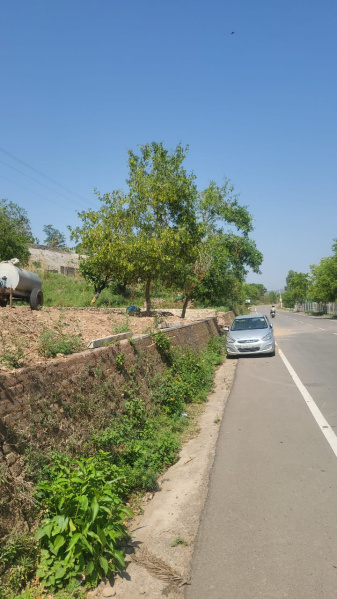  13500 Sq.ft. Agricultural/Farm Land for Sale in Morni, Panchkula