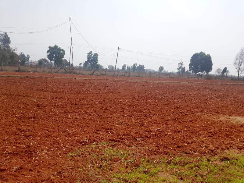  1200 Sq.ft. Residential Plot for Sale in Devanahalli, Bangalore