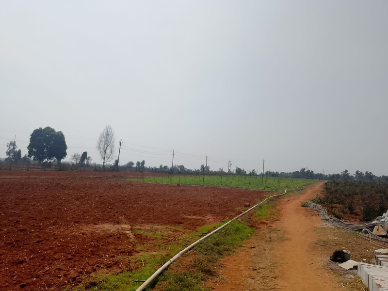  2400 Sq.ft. Residential Plot for Sale in Devanahalli, Bangalore