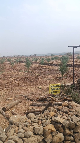  605 Sq. Yards Residential Plot for Sale in Narayankhed, Sangareddy