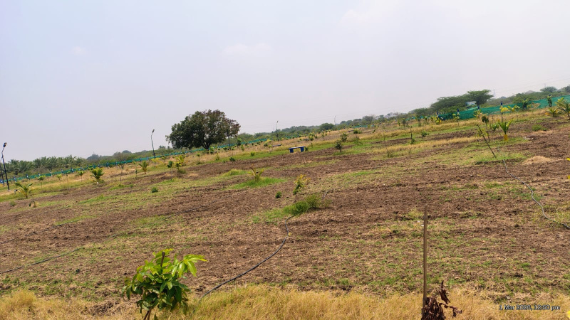 Additional image 3 of Thirumangalam, Madurai