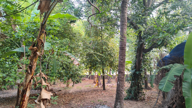 3 BHK 22 Cent House for Sale in Ollur, Thrissur