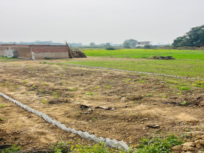  1200 Sq.ft. Residential Plot for Sale in Kanhauli, Bihta, Patna