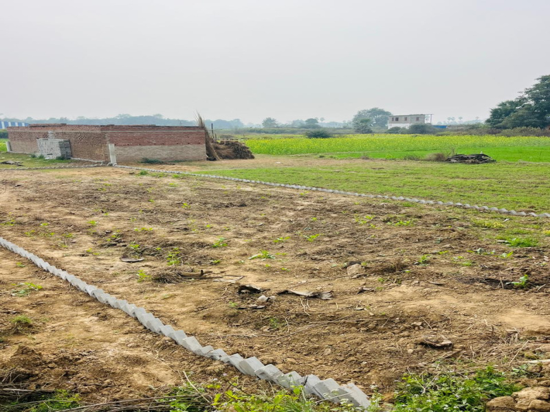  1200 Sq.ft. Residential Plot for Sale in Kanhauli, Bihta, Patna