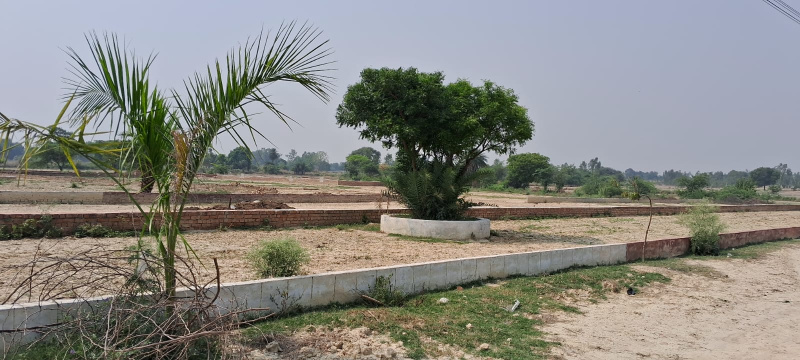  800 Sq.ft. Residential Plot for Sale in Mohanlalganj, Lucknow