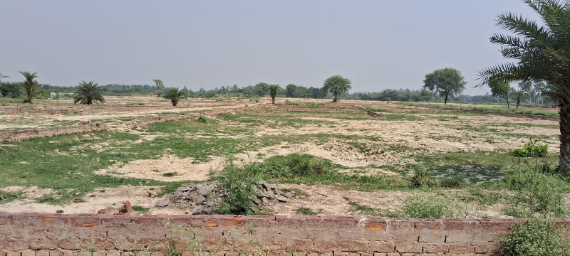  800 Sq.ft. Residential Plot for Sale in Mohanlalganj, Lucknow