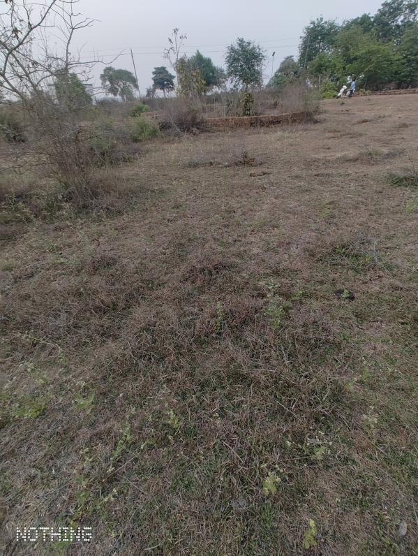  1500 Sq.ft. Residential Plot for Sale in Similia, Dhenkanal